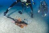 GWD Bouillante baie 21 avril 2014_15